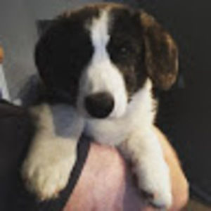 Meet your Posher, Jen